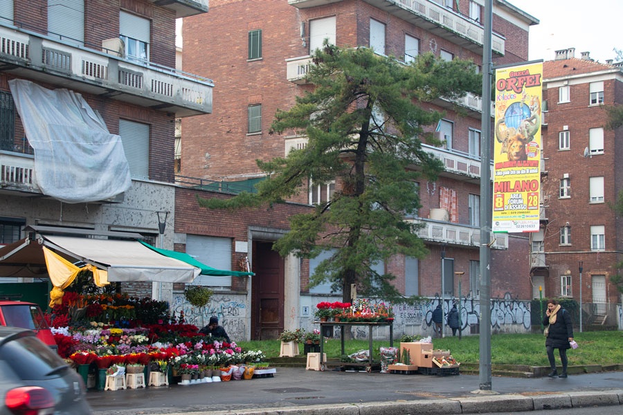 Circo Orfei