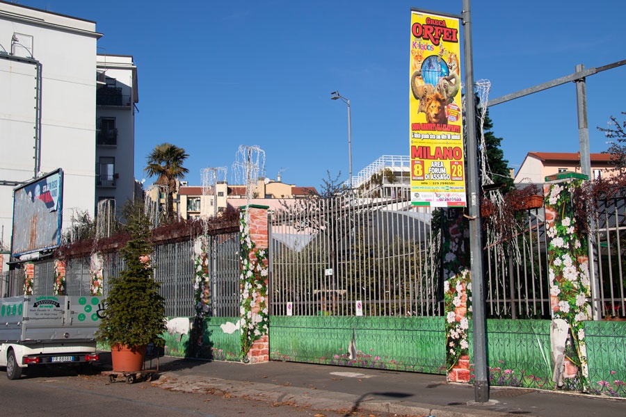 Circo Orfei