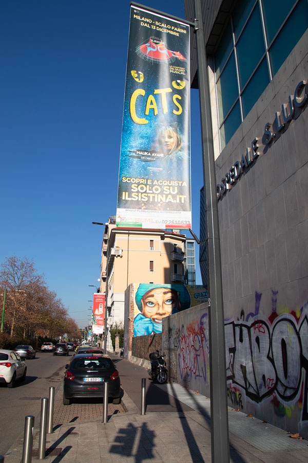 Cat's - Il Sistina